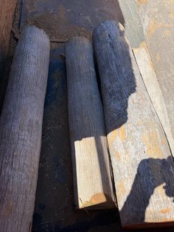 Free palm tree trunks great for carving Tiki’s DIY projects