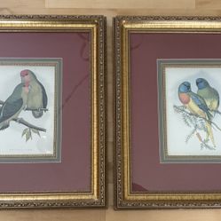 Framed Art Pieces (birds)