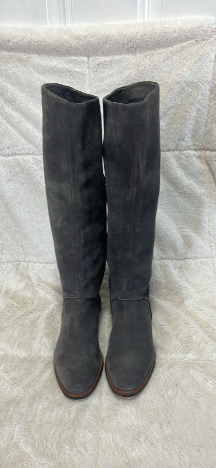 UGG  Australia Daley Tall Boos Suede