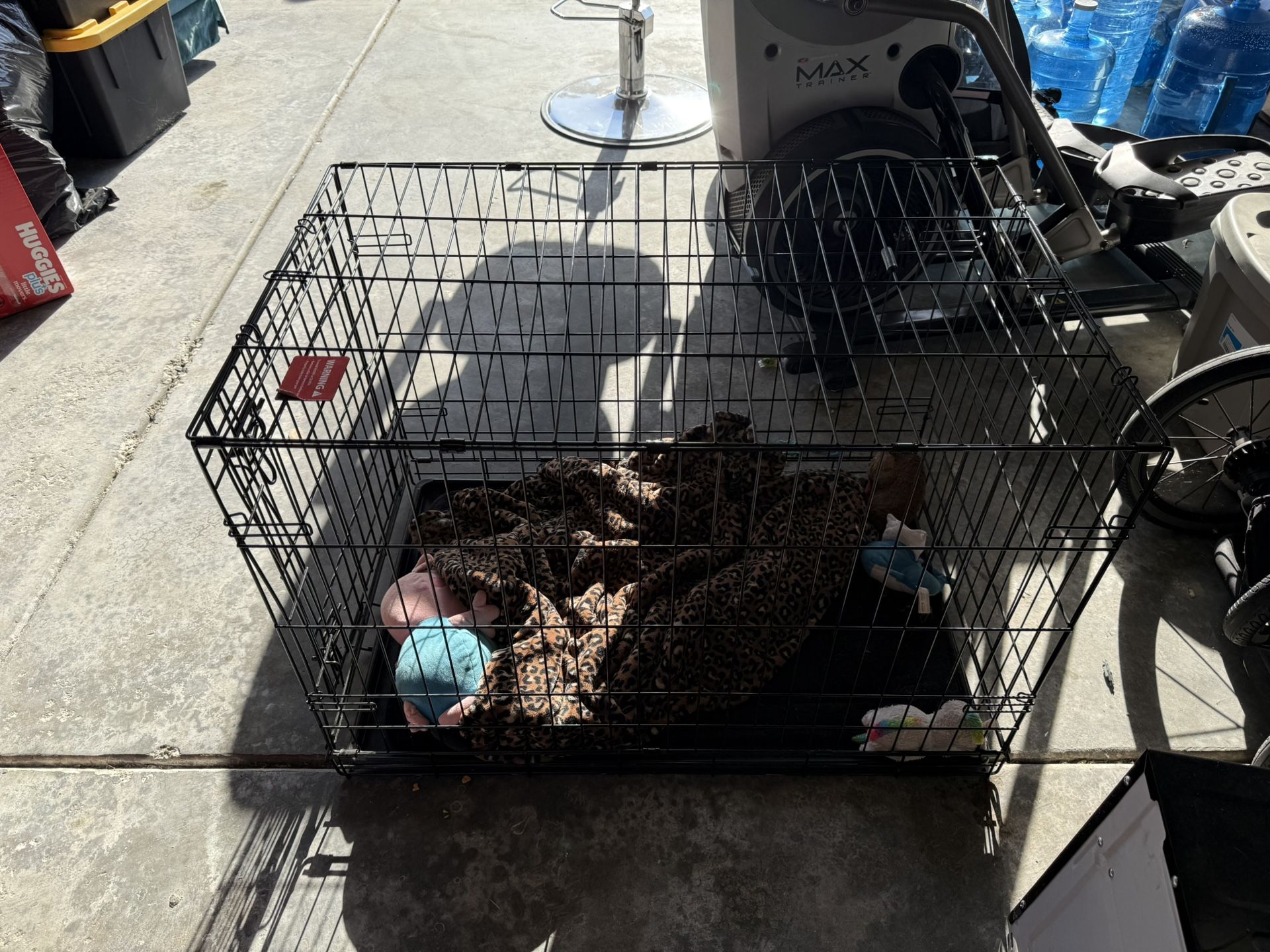 Dog Crate / medium