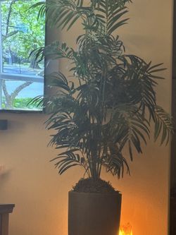 Faux Plant