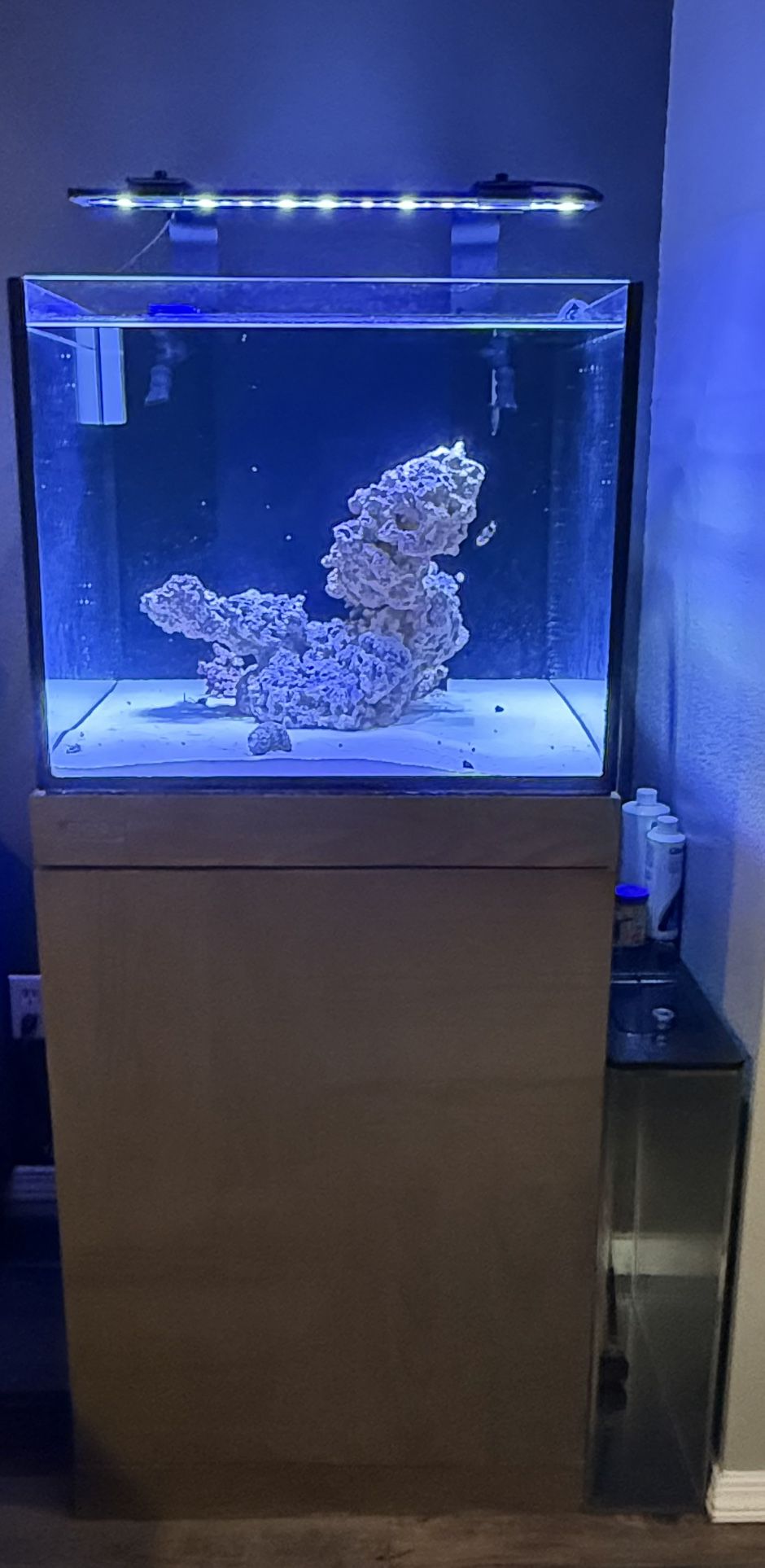 66 Gallon Saltwater Aquarium