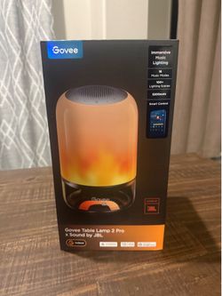 Govee speaker