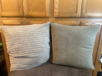 23x23 Luxury 100% Goose Down Throw Pillows (Pair)