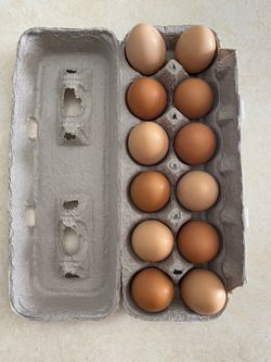 Organic Free Range Farm Fresh Eggs 🥚 