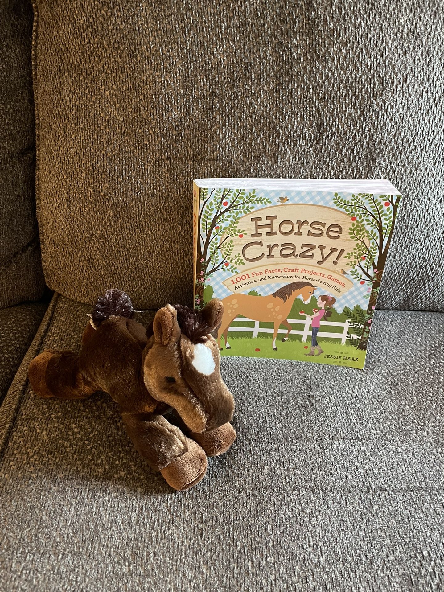 Horse Crazy 1000 Fun Facts, Book 376 Pages With Plush Horse