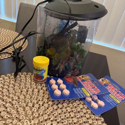 Fish Tank + Food