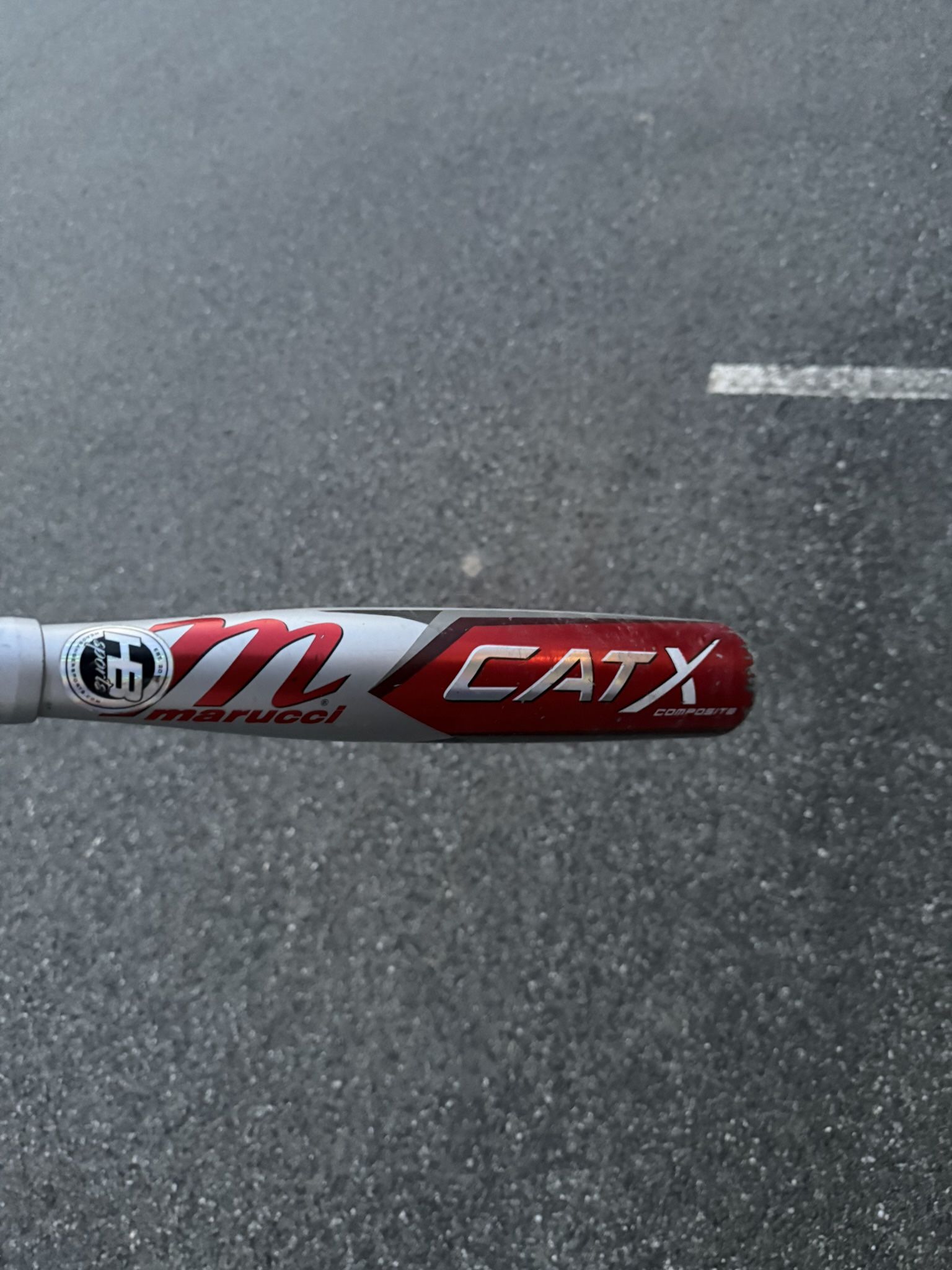 Cat X Comp