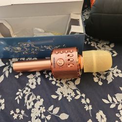 Karaoke Microphone