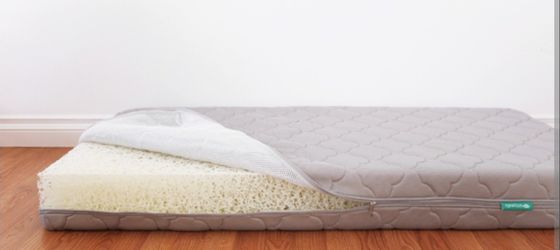 Newton Crib Mattress