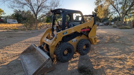 Yard clean up