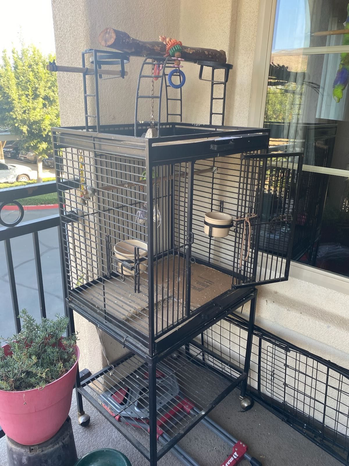 Bird Cage