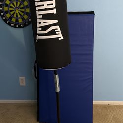 Everlast Reflex Bag