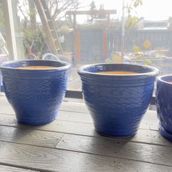 Four Brand New Flower Pots $100