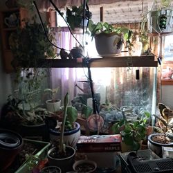 85gal Tank With Escape Proof/custom Lids.