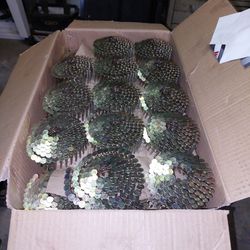 Collated Roofing Nails  1 1/4
