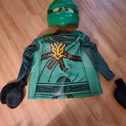 Ninjago And Ninja Costume