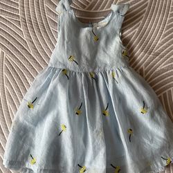 Toddler Girl Dresses 2T and 3T 
