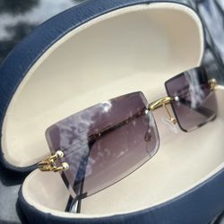 Cartier Sunglasses 🥶