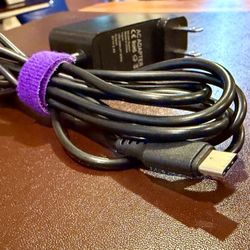 Nintendo Switch AC adapter