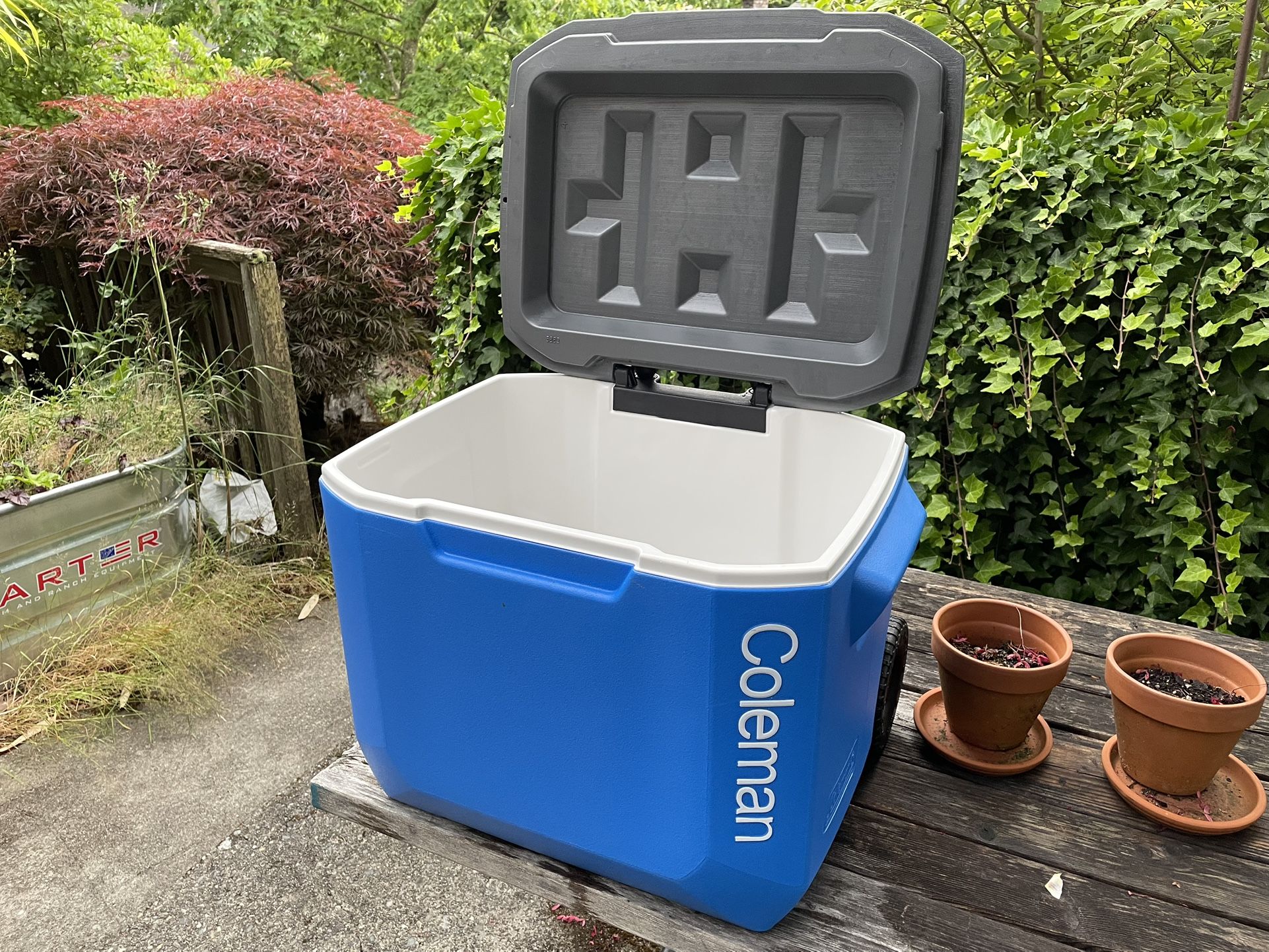 Coleman Wheeled Cooler 60qt