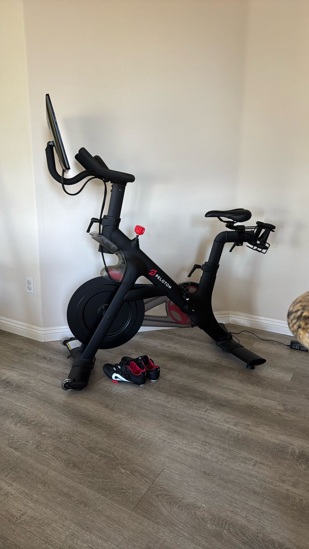 Peloton Bike