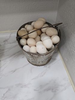 Huevos Organicos