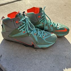 Nike LeBron12 Shoes