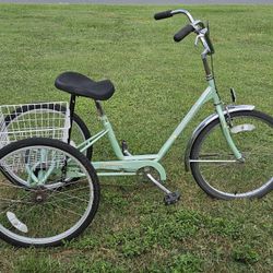 24 Inch Miami Sun Adult Tricycle