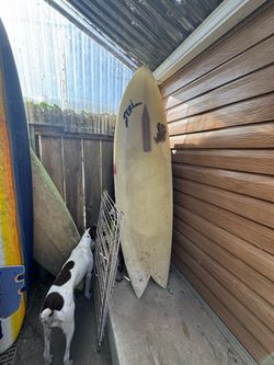 Fish surfboard