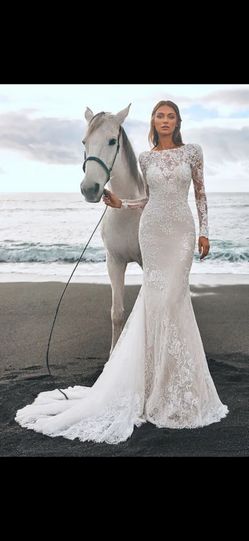 Pronovias Panjin Wedding Dress, Size 14