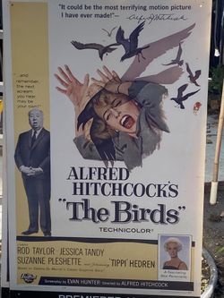 The Birds