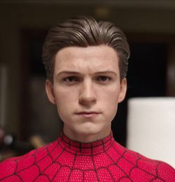 Hot toys spiderman headsculpt "only"