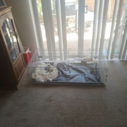 Rodent Cage