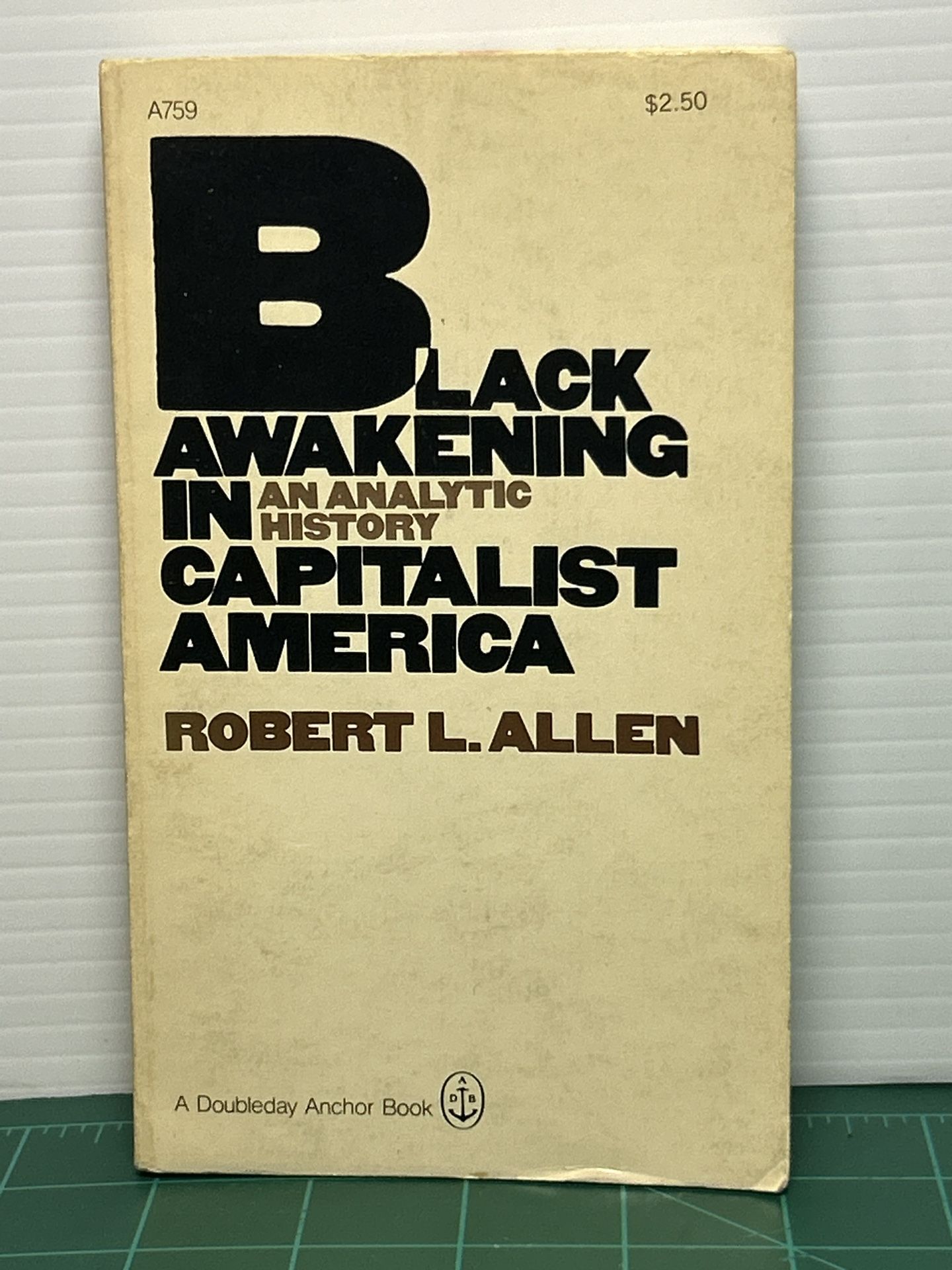 Black Awakening in Capitalist America by Robert L. Allen (Paperback, 1970)