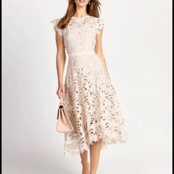 New Lace Dress 