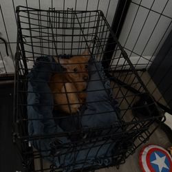 Small dog cage With Dog bed