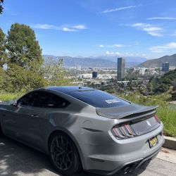 Anderson Composite 2015-2023 Mustang Carbon Fiber Trunk 