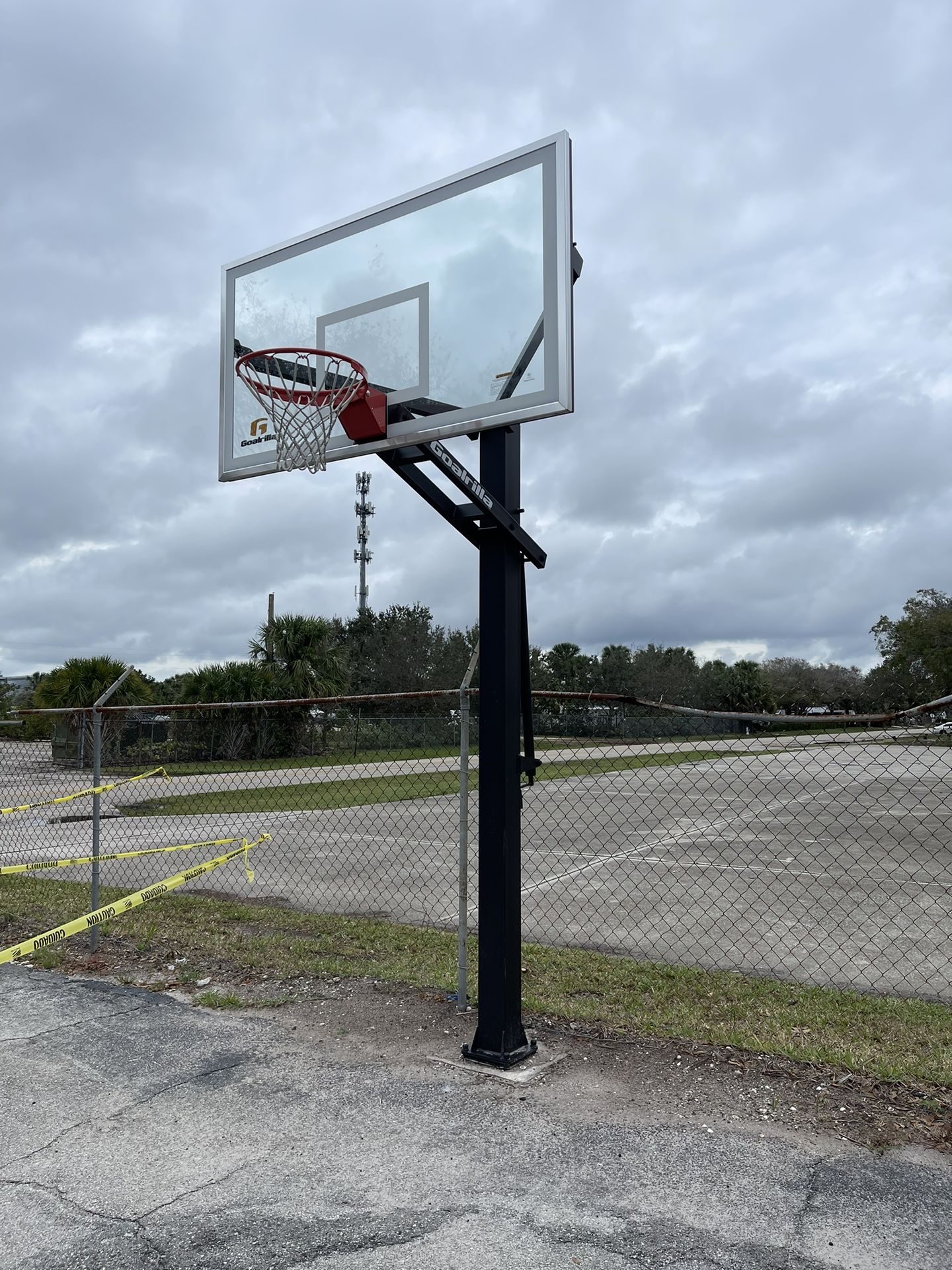 Gorilla Outdoor Basketball Hoop