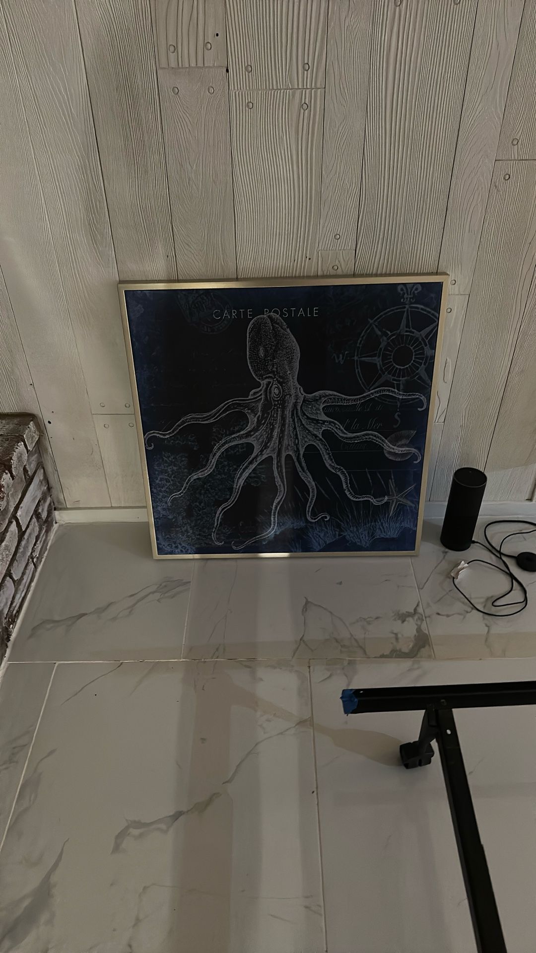 Picture of octopus