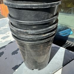 Plants Pots