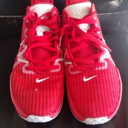 Lebron 6s top