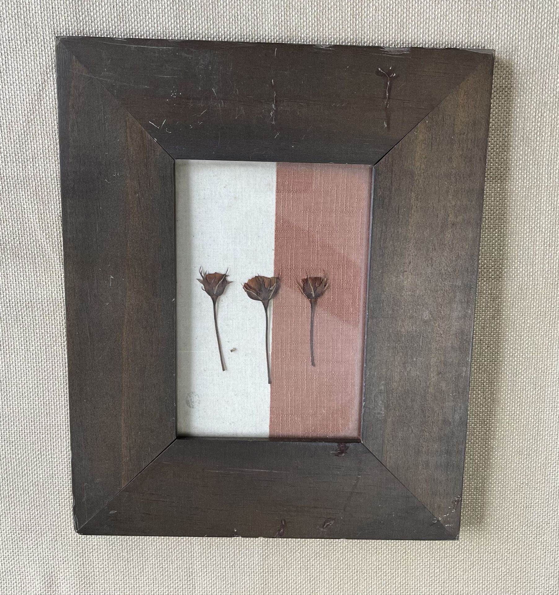 Framed Dried Flowers