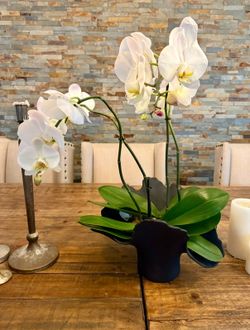 Black pots vases home decor