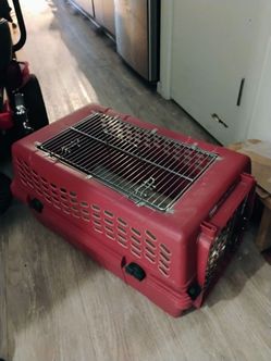 CAT CARRIER
