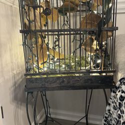 Vintage Birdcage 1930s