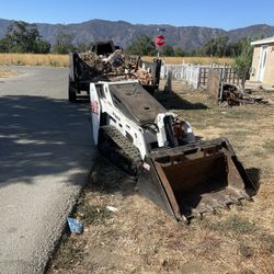 Bobcat  Serv 