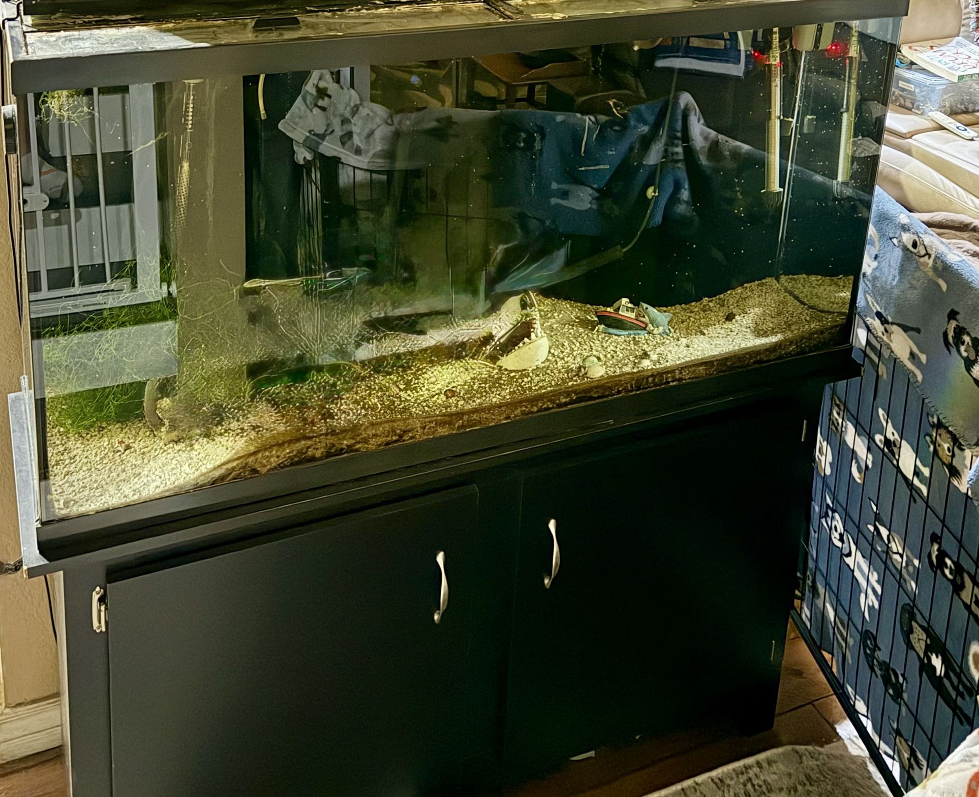 65 Gallon Fish Tank W/ Many Supplies