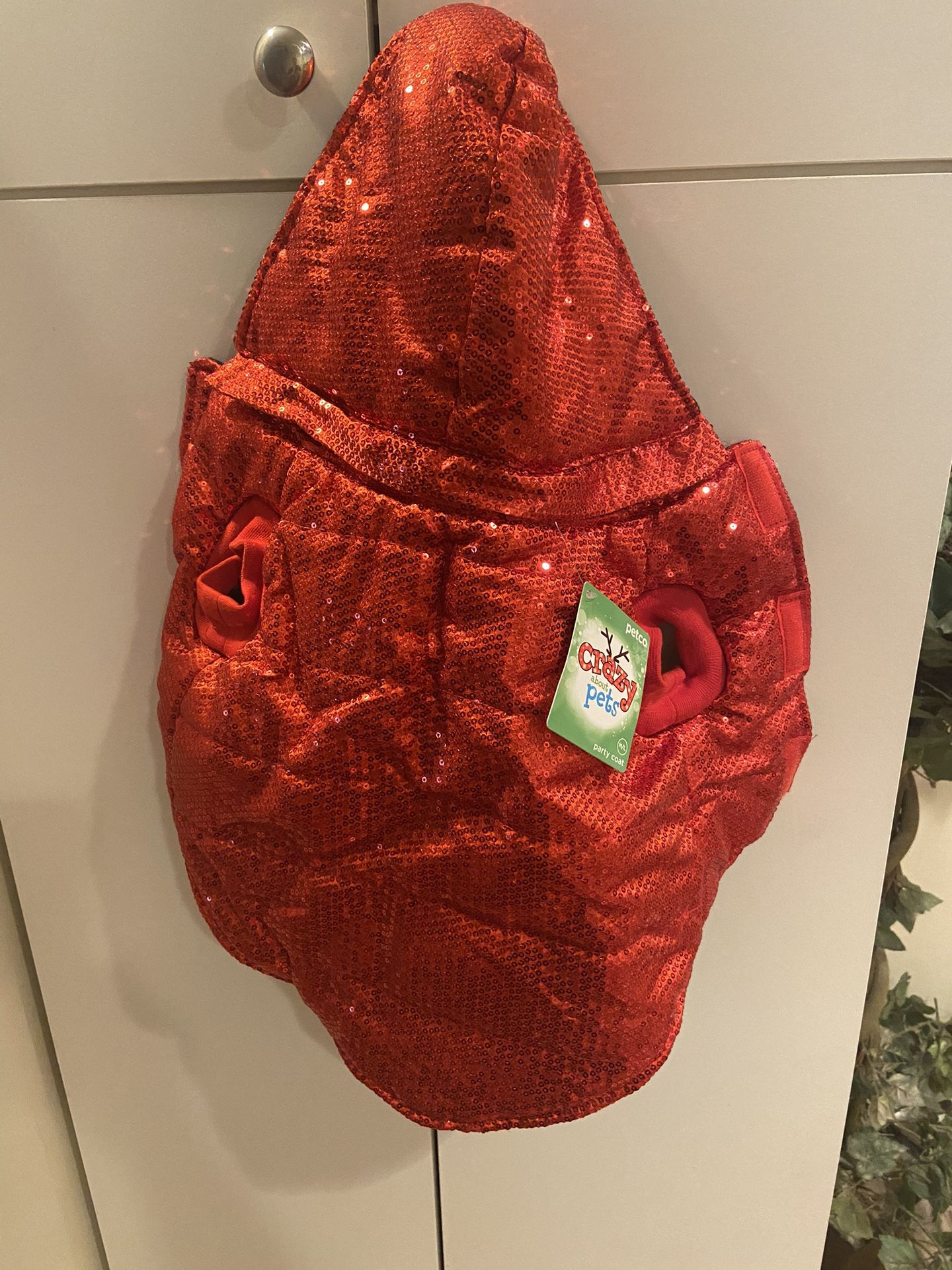Dog Red Coat