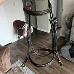 Braided English Riding Bridal